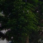 Keunggulan dan Strategi Menang di DV188 Slot Gacor
